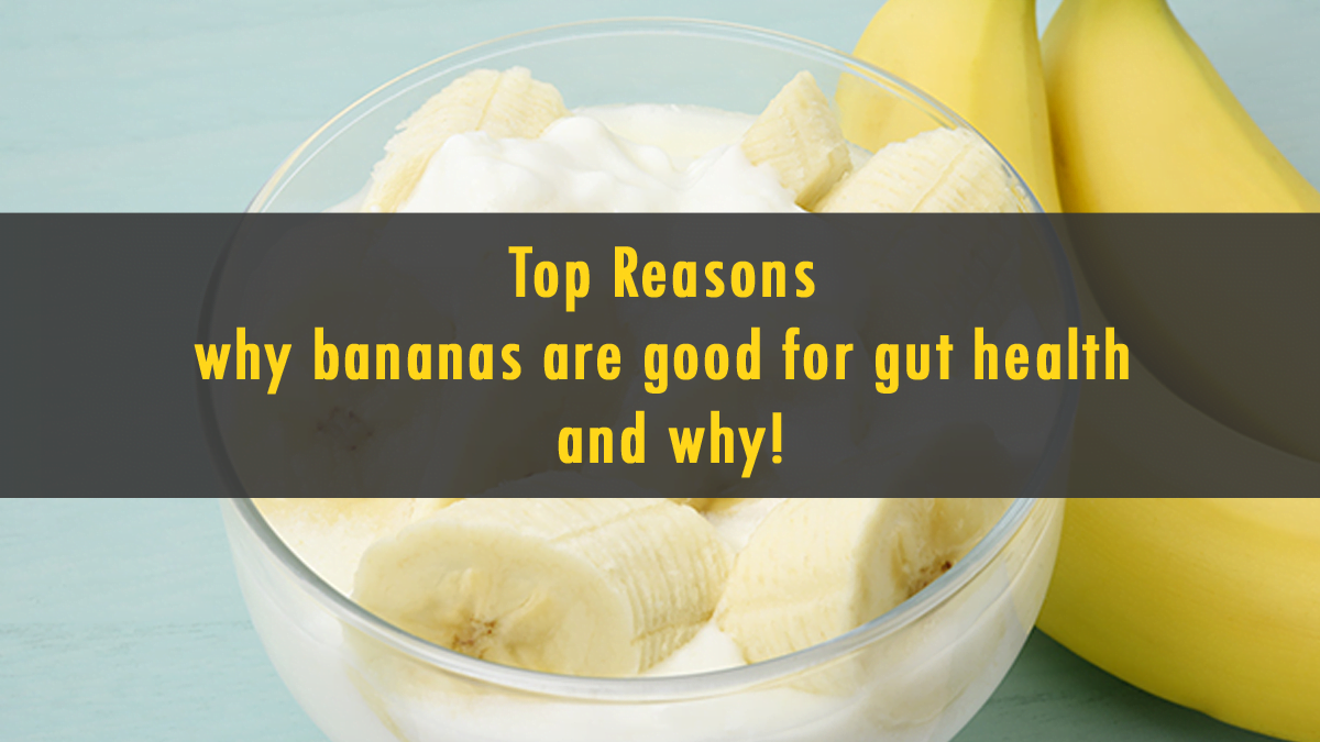 Reasons why bananas are good for gut health and why!